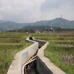 Petani Bogor Kini Bisa Panen 3 Kali Setahun, Kementerian PU Rampungkan Proyek Inpres Irigasi