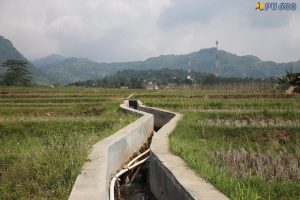 Petani Bogor Kini Bisa Panen 3 Kali Setahun, Kementerian PU Rampungkan Proyek Inpres Irigasi