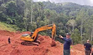 Kemenhut Hentikan Tambang Emas Ilegal di Hutan Sulawesi Utara, Dua Orang Tersangka