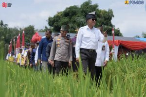 Menteri Dody Pastikan Rehabilitasi Irigasi Rawa Sawah di Kuantan Singingi Perkuat Swasembada Pangan 7 Menteri Dody Pastikan Rehabilitasi Irigasi Rawa Sawah di Kuantan Singingi Perkuat Swasembada Pangan