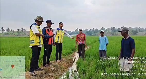 Kementerian PU Pompa Air untuk 35 Hektare Sawah Terdampak Kekeringan di Lampung Selatan