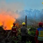 Dukung Penanganan Karhutla di Berau, Kementerian PU Kerahkan Peralatan dan Pasokan Air 21 Dukung Penanganan Karhutla di Berau, Kementerian PU Kerahkan Peralatan dan Pasokan Air