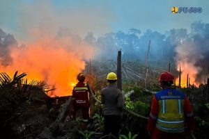 Dukung Penanganan Karhutla di Berau, Kementerian PU Kerahkan Peralatan dan Pasokan Air