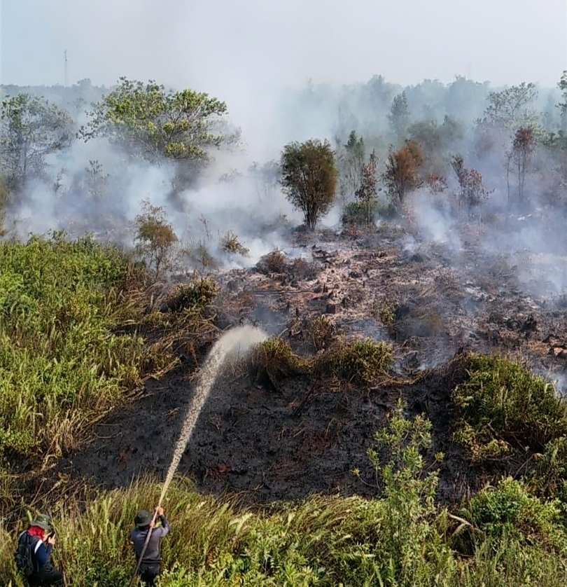 DPR Minta Strategi Karhutla Diubah: Pencegahan Harus jadi Prioritas! 2 DPR Minta Strategi Karhutla Diubah: Pencegahan Harus jadi Prioritas!
