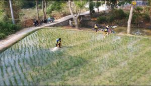 Terjunkan 10 Pompa, Kementerian PU Selamatkan 300 Hektare Sawah Kekeringan di Sentra Padi Karawang 11 Terjunkan 10 Pompa, Kementerian PU Selamatkan 300 Hektare Sawah Kekeringan di Sentra Padi Karawang