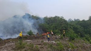 Tindaklanjut Arahan Presiden, Kementerian PU Dukung Penanganan Karhutla di Kaltara, Kaltim dan Malut 7 Tindaklanjut Arahan Presiden, Kementerian PU Dukung Penanganan Karhutla di Kaltara, Kaltim dan Malut