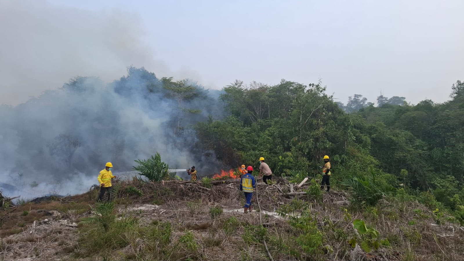 Tindaklanjut Arahan Presiden, Kementerian PU Dukung Penanganan Karhutla di Kaltara, Kaltim dan Malut 9 Tindaklanjut Arahan Presiden, Kementerian PU Dukung Penanganan Karhutla di Kaltara, Kaltim dan Malut